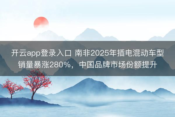 开云app登录入口 南非2025年插电混动车型销量暴涨280%，中国品牌市场份额提升