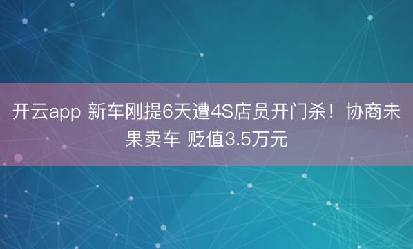 开云app 新车刚提6天遭4S店员开门杀！协商未果卖车 贬值3.5万元