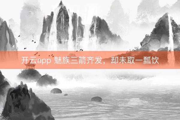 开云app 魅族三箭齐发,却未取一瓢饮