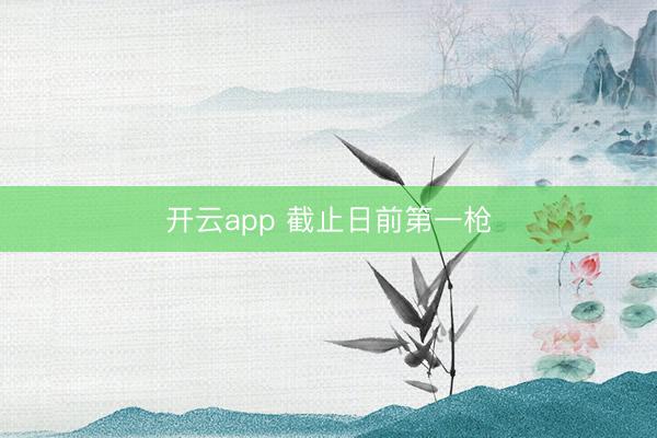开云app 截止日前第一枪