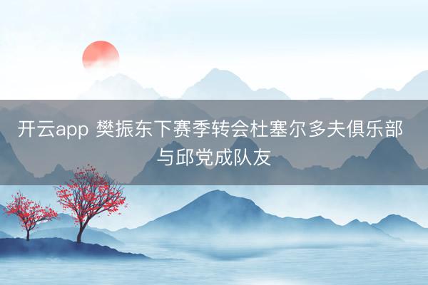 开云app 樊振东下赛季转会杜塞尔多夫俱乐部 与邱党成队友