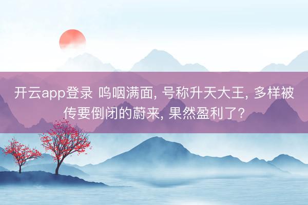 开云app登录 呜咽满面， 号称升天大王， 多样被传要倒闭的蔚来， 果然盈利了?