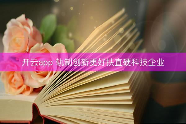 开云app 轨制创新更好扶直硬科技企业
