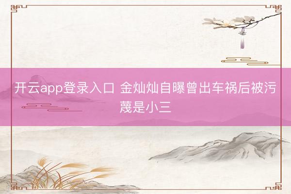 开云app登录入口 金灿灿自曝曾出车祸后被污蔑是小三