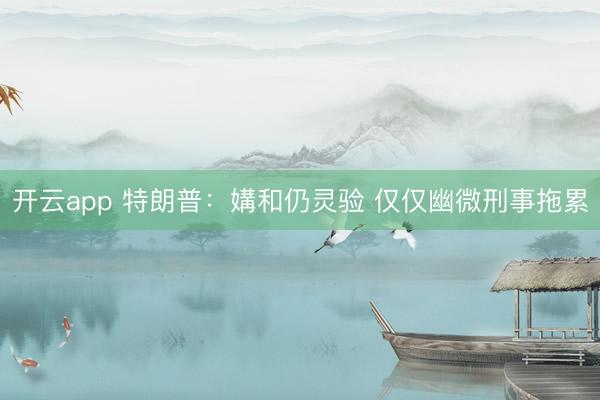 开云app 特朗普：媾和仍灵验 仅仅幽微刑事拖累