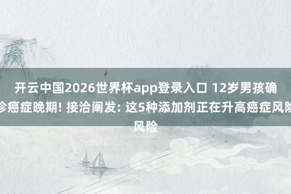 开云中国2026世界杯app登录入口 12岁男孩确诊癌症晚期! 接洽阐发: 这5种添加剂正在升高癌症风险