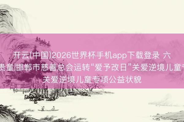 开云(中国)2026世界杯手机app下载登录 六一送暖 以真贵童|邯郸市慈善总会运转“爱予改日”关爱逆境儿童专项公益状貌