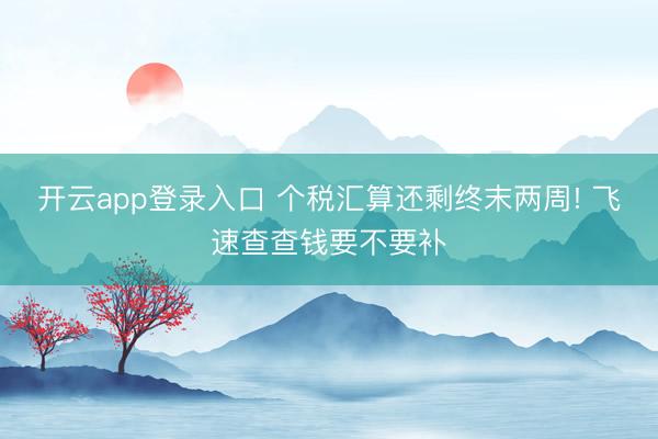 开云app登录入口 个税汇算还剩终末两周! 飞速查查钱要不要补