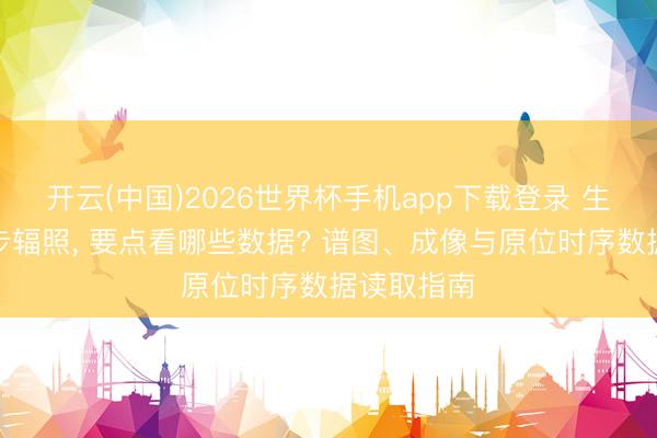 开云(中国)2026世界杯手机app下载登录 生人初学同步辐照， 要点看哪些数据? 谱图、成像与原位时序数据读取指南