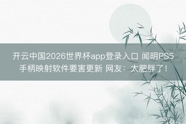 开云中国2026世界杯app登录入口 闻明PS5手柄映射软件要害更新 网友:太肥胖了!